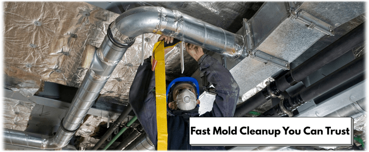Air Duct Mold Removal in Johnscreek GA