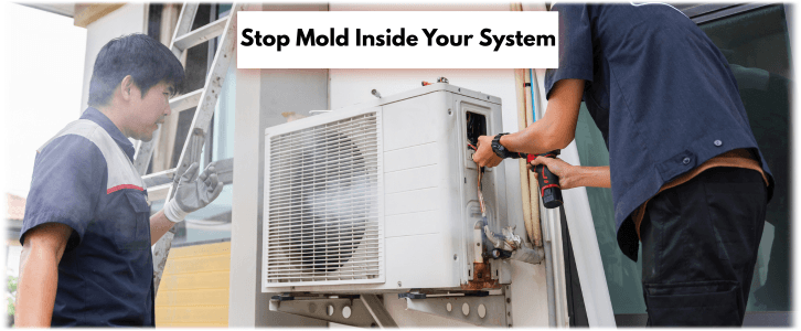 HVAC Mold Removal Johnscreek GA